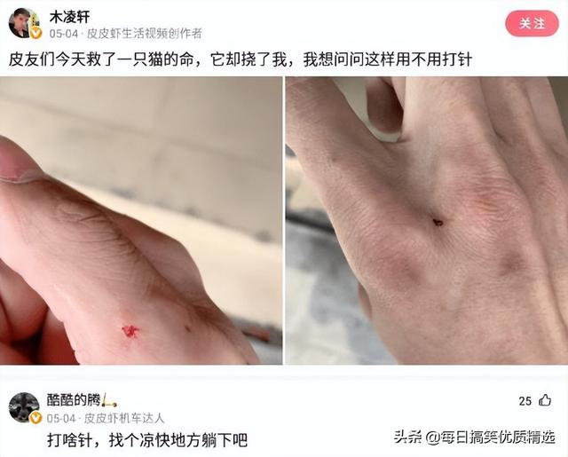 别扒拉我恐龙情侣头像，恐龙情头微信（神回复：这是什么样的古董）