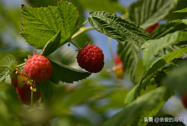 8090后童年的味道记忆中的零食，80后90后们你还记得几样