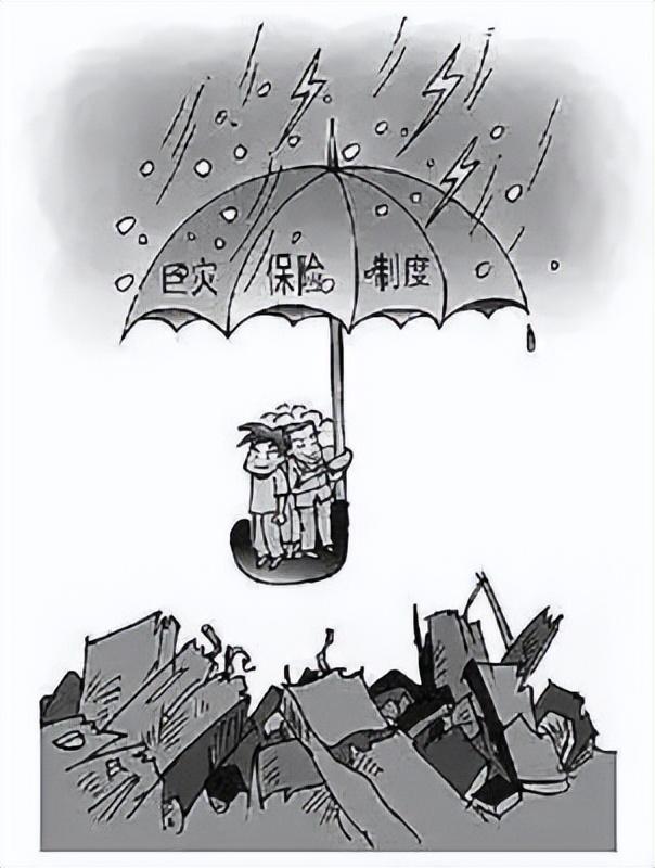 地震灾害有哪些特点，地震灾害主要有（谈谈地震灾害特点及风险转移工具）