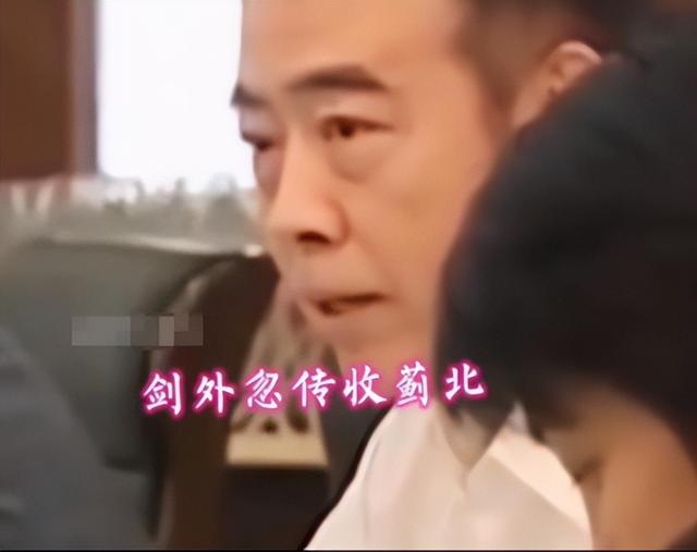 倪萍为什么遭陈凯歌抛弃，\