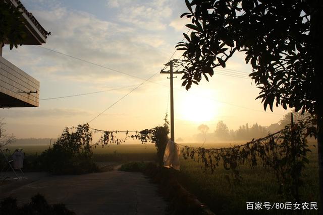 夏天10大水果，夏天吃什么水果降火快（多吃这6种应季水果）