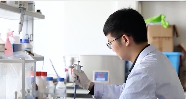 药剂学专业主要学什么，2021全国大学药剂学专业排名（药剂专业课程设置）