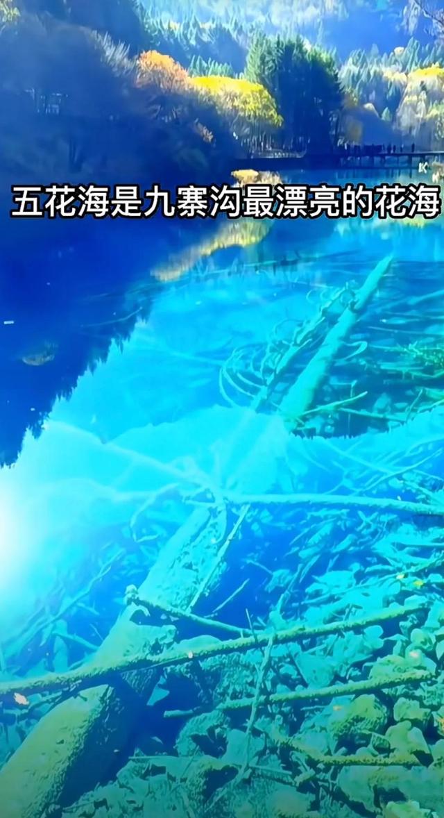 分享：九寨美景