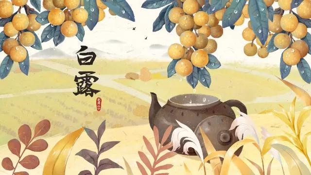 白露是什么季节，今年“早白露”还是“单白露”