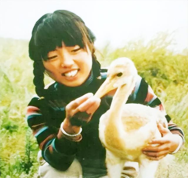 黄土高坡原唱是谁，黄土坡上的情原唱（8位“青歌赛”通俗唱法获奖歌手）