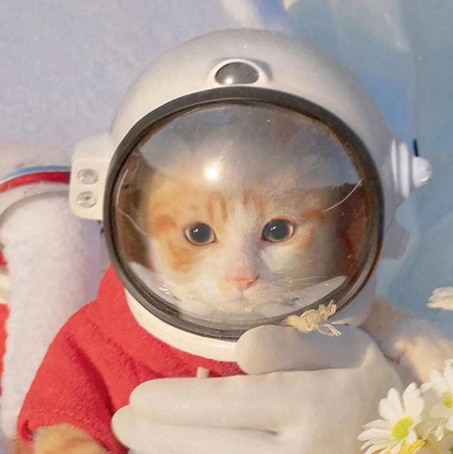 超甜的情侣头像，超级甜的情头微信（130张情侣、闺蜜头像）