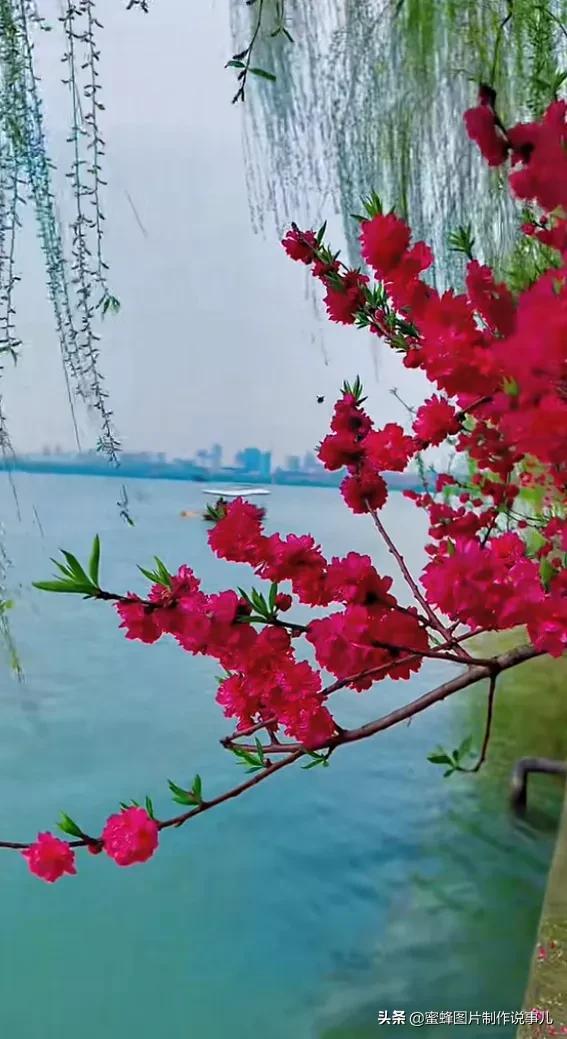 风景美图，风景美图壁纸（鲜花争艳，美景如画，过目不忘）