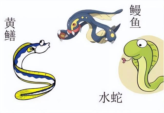 蛇最怕什么动物，蛇最怕什么动物而且是在田野里的（“蛇吃黄鳝—找死”）