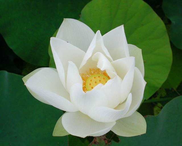 处处想打压你的人是什么心理，一个女人处处打压男人的心理（如此待你的人）