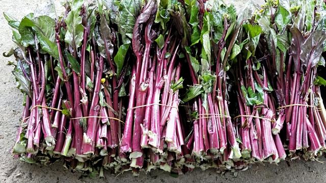 弱碱性呈什么颜色，酸性碱性颜色（这5种蓝紫色的蔬菜水果）