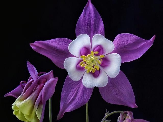 射手座和这3大星座缘分不浅，爱到痴狂（不好接近的三个星座）