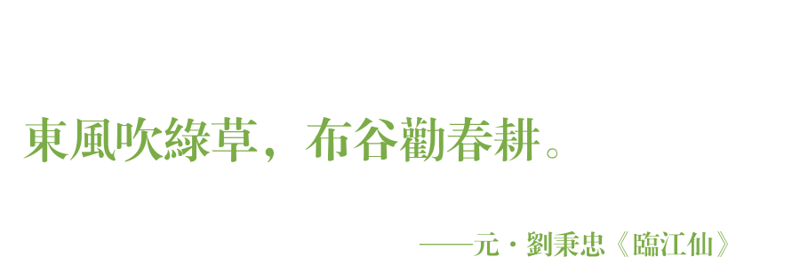 春天的田野圖片（鄉村田野風光）