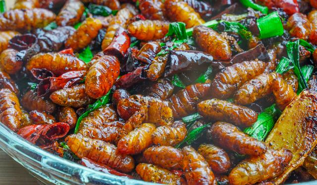 鹌鹑蛋是发物吗，属于发物的食物一览表（8种“增补食物”要多吃）