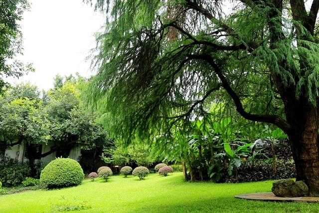 广州景点排行榜前十名，广州旅游景点排名前十（广州十大冷门景点）