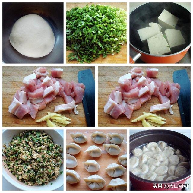鸡肉可以做什么馅的饺子，鸡肉能做什么馅饺子（一口下去全是营养）