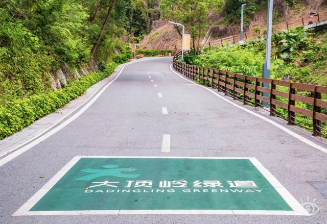 深圳有哪些好玩的地方，深圳有哪些好玩的地方及美食街（深圳这22条绿道，真的美）
