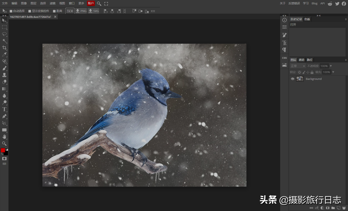 ps在线使用(photoshop在线入口)