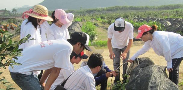 植物保护专业就业前景，植物保护专业就业前景与就业方向（看似冷门的农学专业）