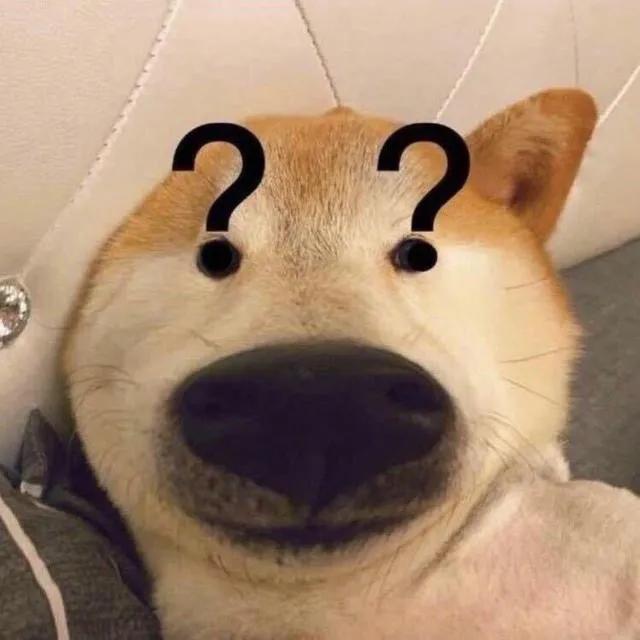 搞怪动物表情包，微信头像，搞怪动物表情包（收集一些搞怪的动物头像）