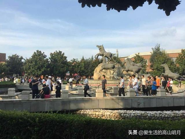 兵马俑是什么，兵马俑是什么朝代的（秦始皇兵马俑）