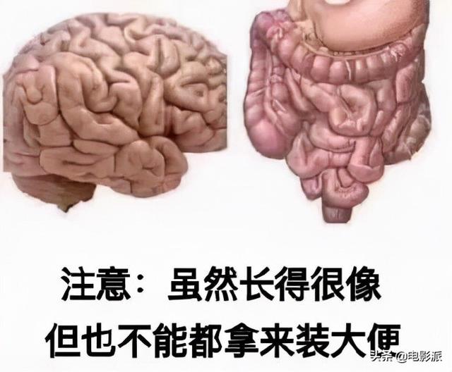 18x小说，现代18x小说推荐（看完这些烂剧，我真瞎了）