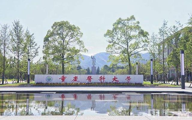 重庆医科大学是双一流大学吗，重庆医科大学是不是双一流大学（第二轮“双一流”重庆仍只2所大学入选）