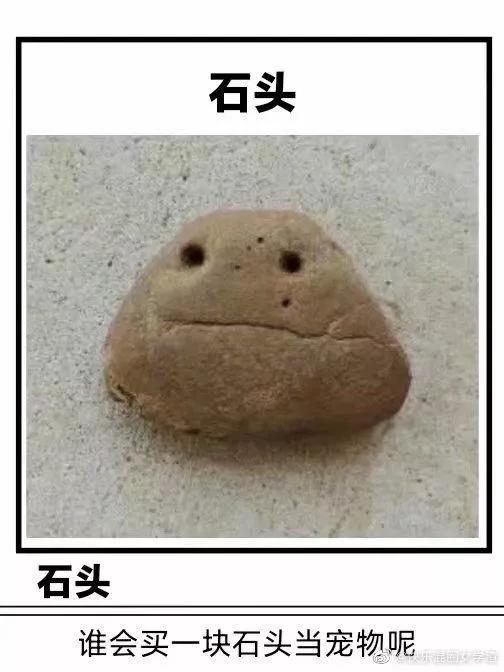 有特色的家庭微信群名，一家人的群名有创意（为什么家庭群聊名称都那么统一）