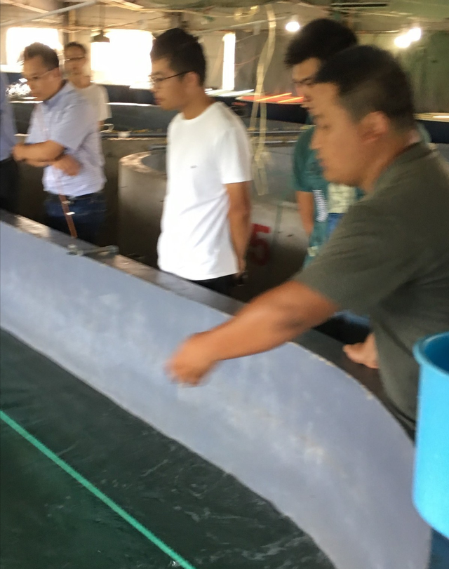 带鱼可以人工养殖吗，带鱼现在可以人工养殖吗（为何不早点进行人工养殖）
