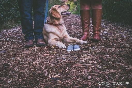 迈阿密旅游攻略，迈阿密旅游详细攻略（美丽的迈阿密是个怎样的地方）