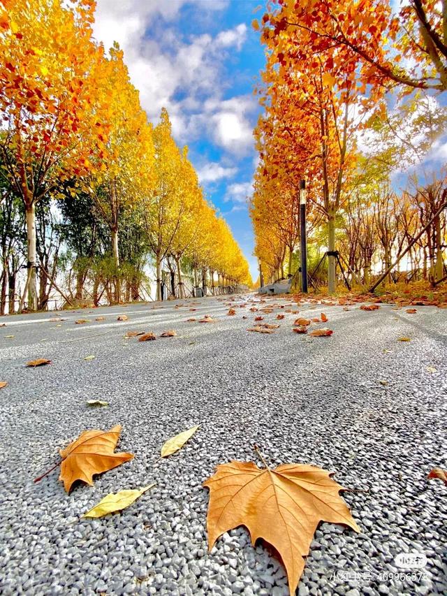 党内警告处分有什么影响，党内严重警告处分有什么影响（受到党内严重警告处分）