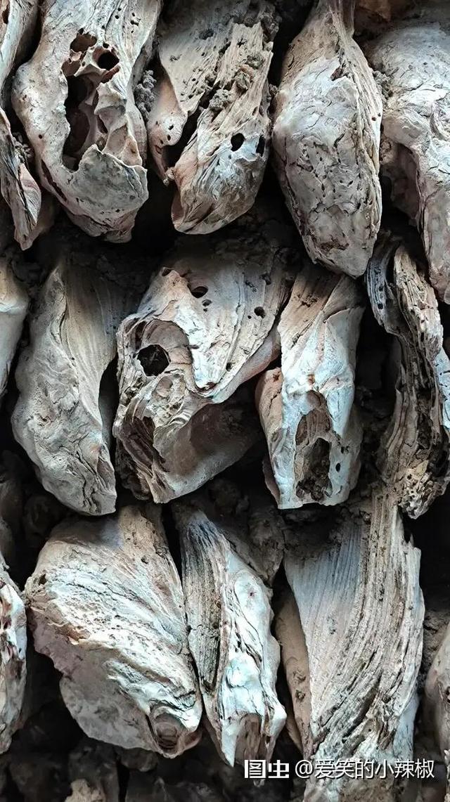 广州小洲村好玩吗，广州好玩的地方——小洲村篇（广州小洲村半日游）