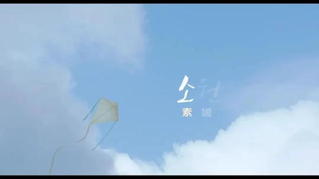 素媛是什么意思，素媛<电影>（素媛到底是什么）