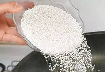 像椰子树的树叫什么，像椰子树的树叫什么室内（一棵却能产数百斤大米）