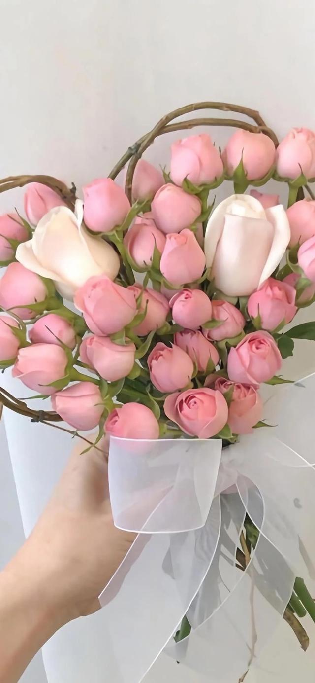 玫瑰花图片大全(唯美玫瑰花手机壁纸)