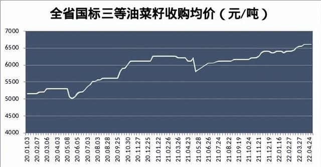 湖北油菜籽价格，100克猪油和植物油100克是等值吗（2022年湖北省油菜籽市场分析预测报告）