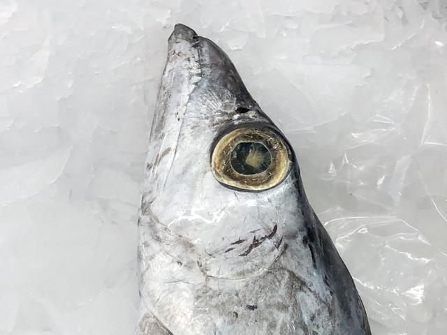 怎样挑选新鲜带鱼，如何挑选鲜带鱼（牢记“3买3不买”）