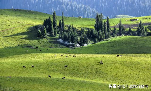 那拉提景区旅游攻略，那拉提旅游攻略（一张图看懂那拉提草原怎么玩）