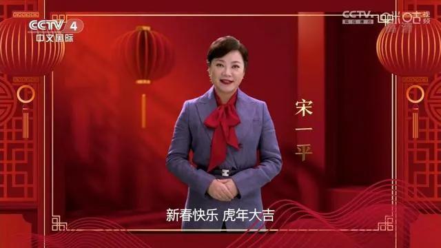 中文国际主持人，中文国际频道女主持人（才女主播宋一平）
