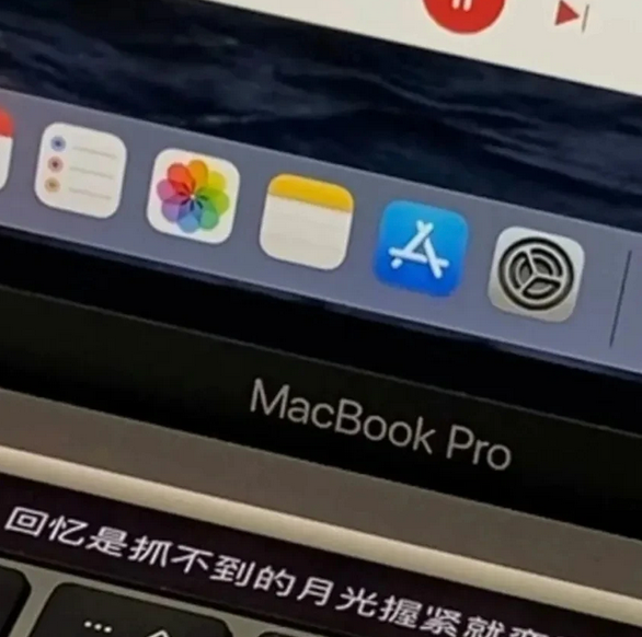 有创意的搞怪网名又不失可爱，好玩的网名 个性 搞怪（文案‖一些搞怪的姓氏谐音梗网名）
