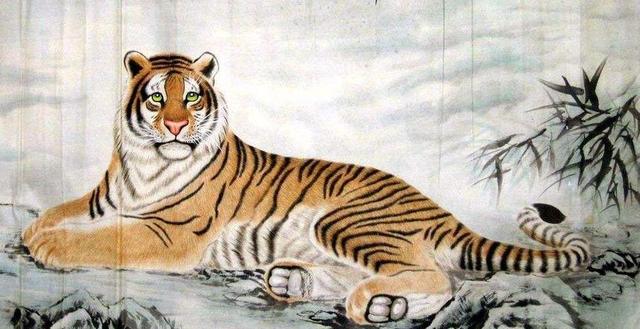 本命年戴什么转运属虎，本命年属虎戴什么转运（明年虎年是过林黑虎）