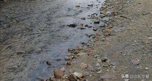 生日吃鸡蛋的寓意怎样表达，生日吃鸡蛋有什么意义（鸡蛋的回味与生日的回想）