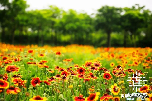 休闲旅游娱乐项目，8个旅游新项目开启新玩法！