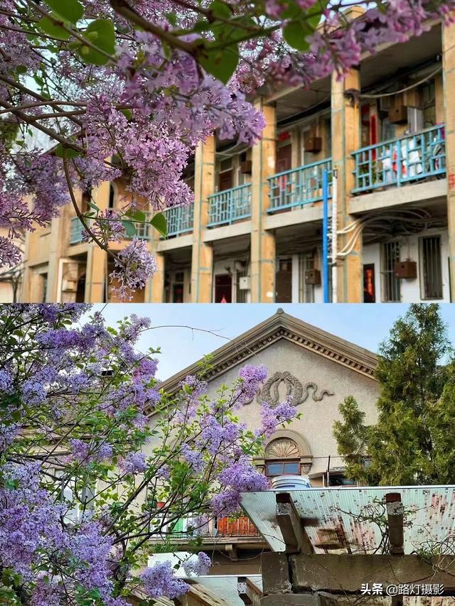 大连是哪里的省会城市，大连是哪儿的省会（中国东北最像欧洲的城市）