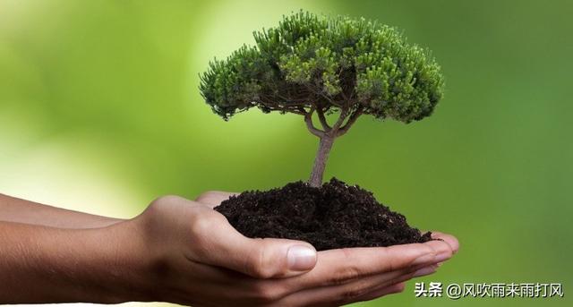 四大行私人银行的标准，各大银行私行客户标准（四大行集体下调个人存款利率）
