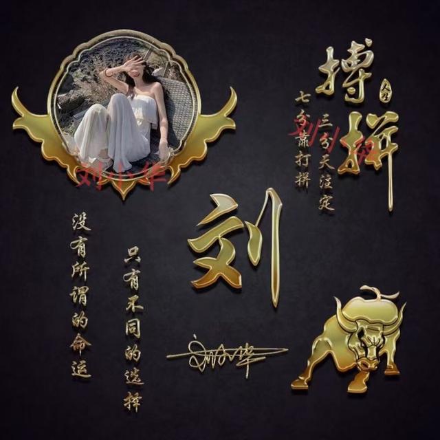 最新男生姓氏头像微信，最新男生姓氏头像（是适合男人用的）