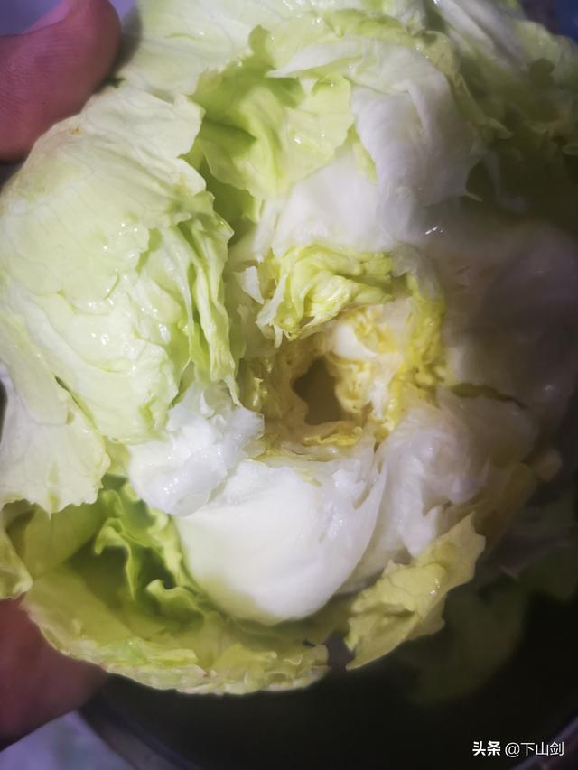 西生菜怎么做好吃，西生菜怎么做好吃又简单（脆脆好吃的蚝油西生菜）