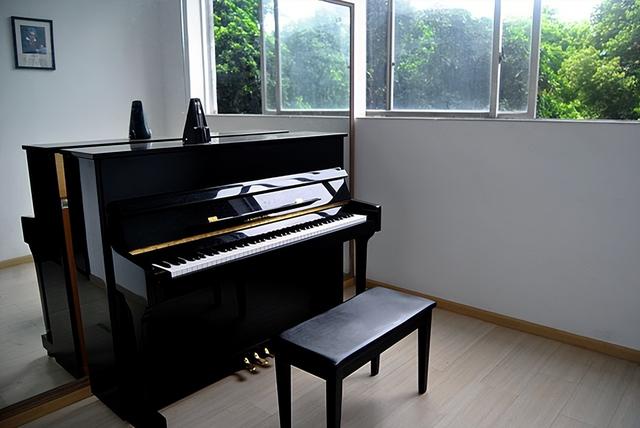 四川文化艺术学院的办学条件，四川文化艺术学院是民办学校吗（一所好的艺术中学）