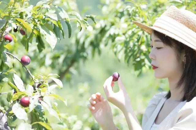 汉中旅游景点排名推荐，汉中旅游景点大全排名榜（在汉中一年四季可以这样玩 →）