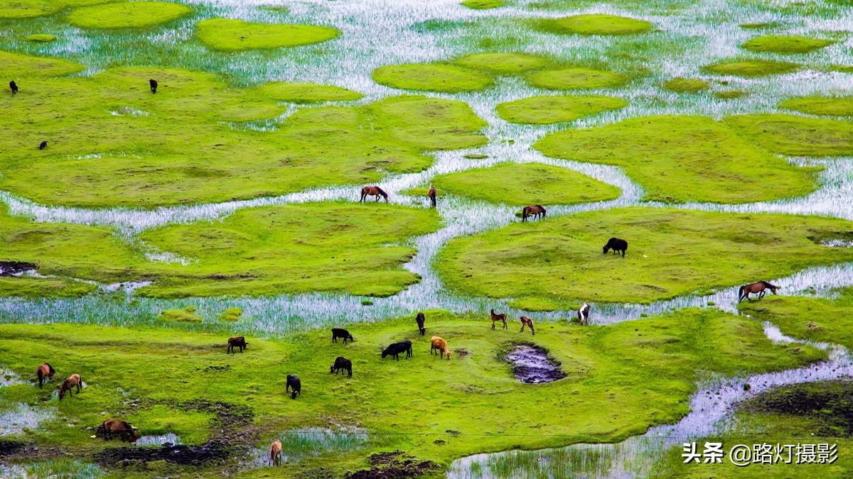 旅游景点排行榜前十名，中国值得去的10个旅行地