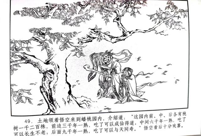 天上一天地上一年，天上一天地下一年是真的吗（第1期：寿与天齐能活多少岁）